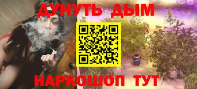 стаф Кингисепп