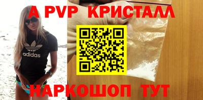 стаф Кингисепп