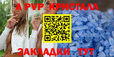 стаф Кингисепп