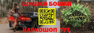 стаф Кингисепп