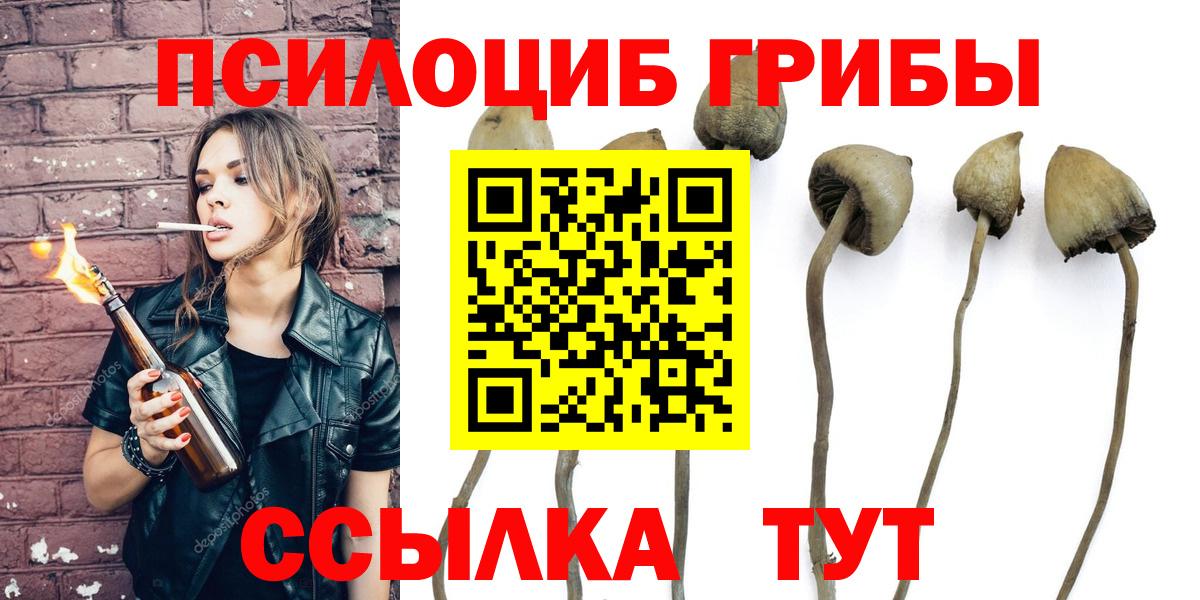Галлюциногенные грибы Psilocybine cubensis  Вход с VPN  Елизово 