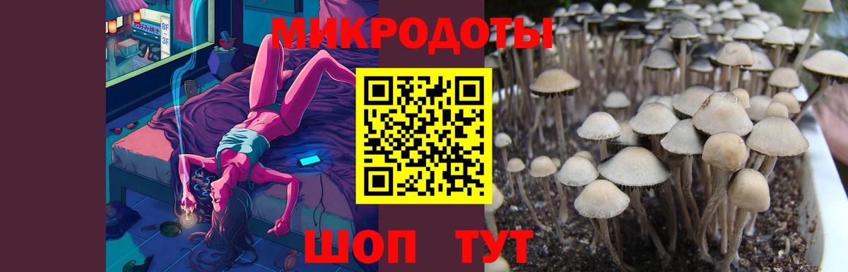 Псилоцибиновые грибы мухоморы Елизово